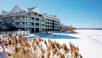 The image shows a snow-covered landscape with residential buildings and dry plants in the foreground, under a clear blue sky.