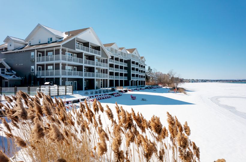 The image shows a snow-covered landscape with residential buildings and dry plants in the foreground, under a clear blue sky.