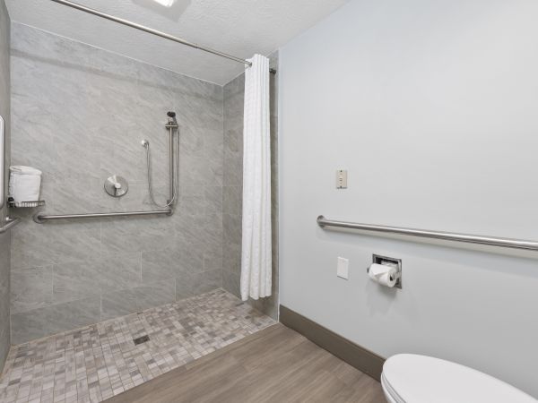 The image shows an accessible restroom with a walk-in shower equipped with handrails, a shower bench, and a curtain, adjacent to a toilet with a grab bar.