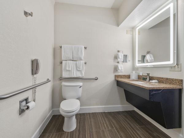 The image shows an accessible bathroom with a toilet, grab bars, towels on a rack, vanity with sink, illuminated mirror, and a wooden floor.