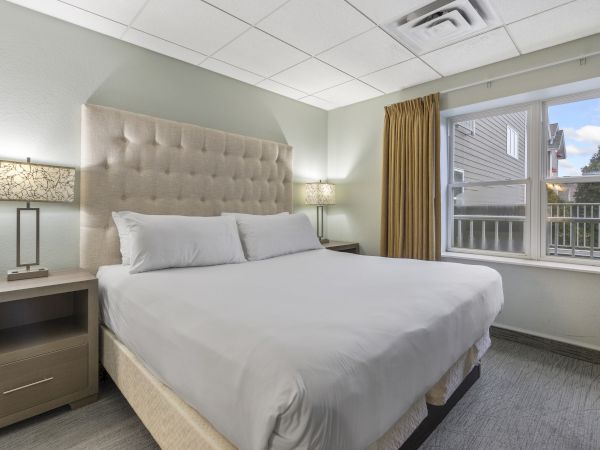 The image shows a neatly made bed in a modern hotel room with bedside tables, lamps, a padded headboard, curtain, and a window with an outdoor view.
