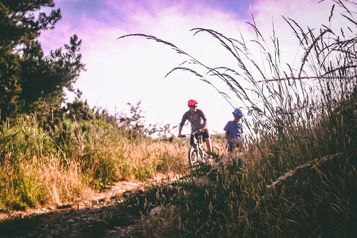 Two people are biking on a trail surrounded by tall grass and trees under a pinkish sky.