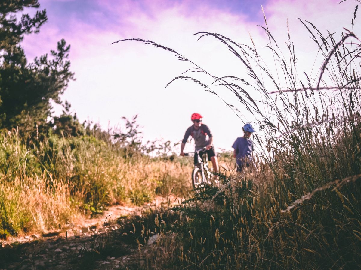 Two people are biking on a trail surrounded by tall grass and trees under a pinkish sky.