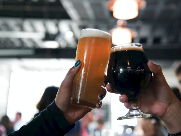 Two people are toasting with different beers in a casual, indoor setting. One beer is light, the other dark.