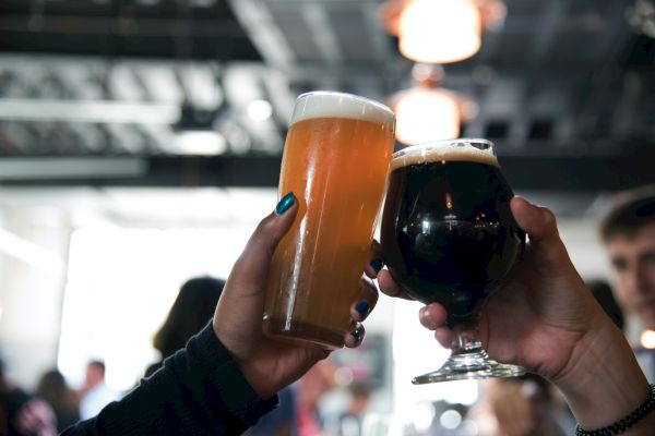 Two people are toasting with different beers in a casual, indoor setting. One beer is light, the other dark.