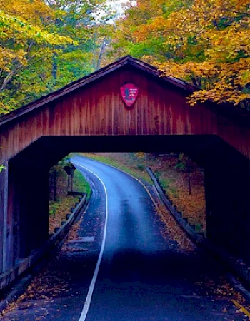 A scenic covered bridge on a winding road surrounded by vibrant autumn foliage with yellow and green leaves.