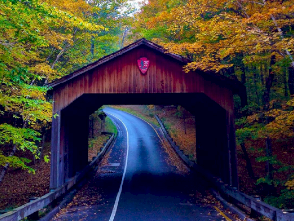 A picturesque covered bridge with autumn foliage surrounds a winding road leading through it, creating a serene and nostalgic scene.