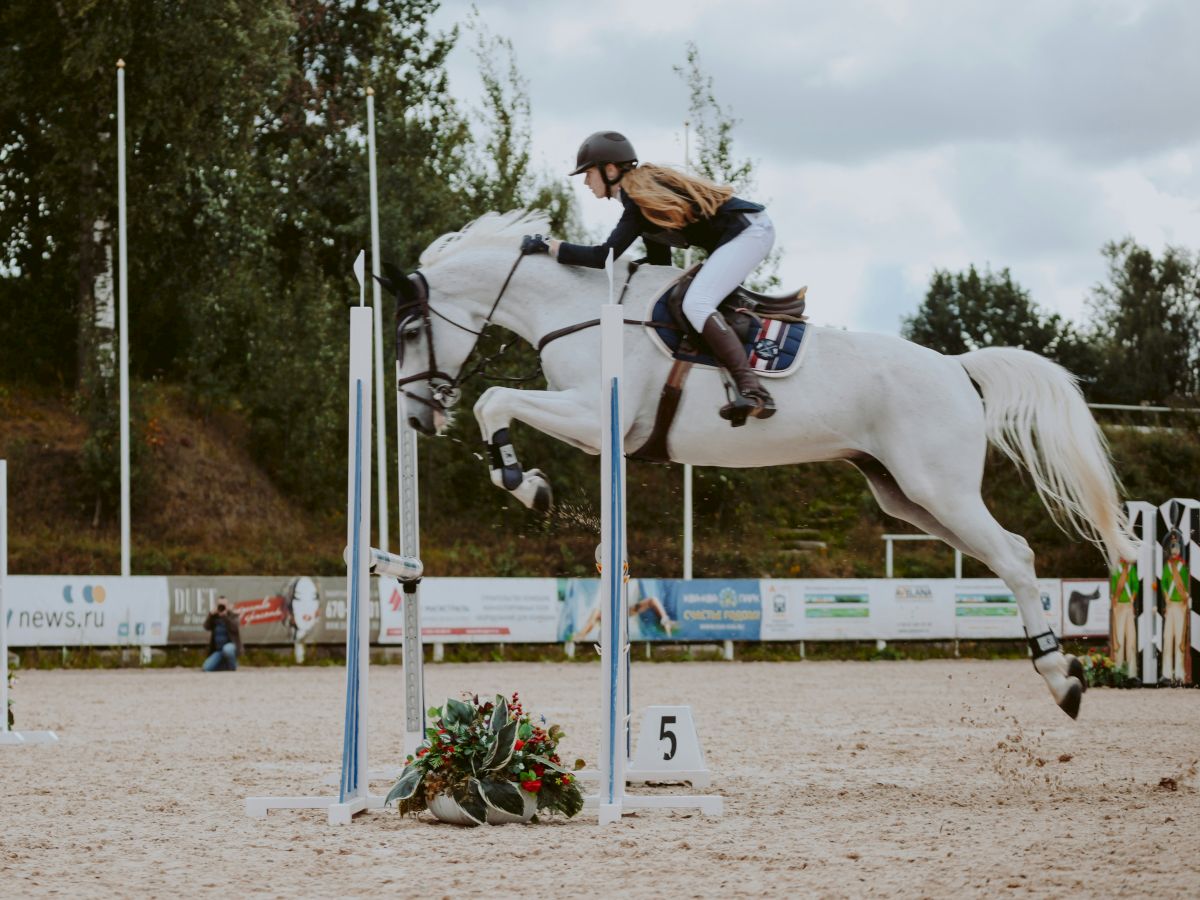 A person is riding a white horse, jumping over an obstacle in an outdoor equestrian setting.