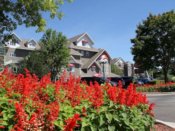 Colorful red flowers in a landscaped bed foreground, with residential townhomes and a street in the background under a clear blue sky.