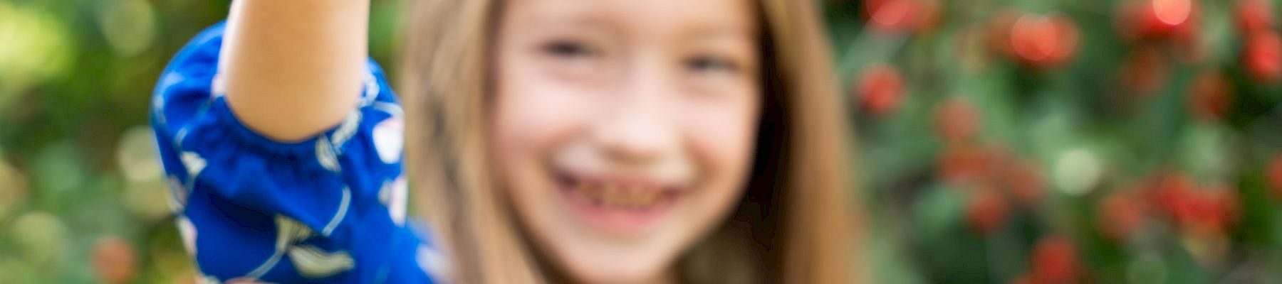 A smiling girl in a blue patterned dress holds up two bright red cherries in a garden orchard.