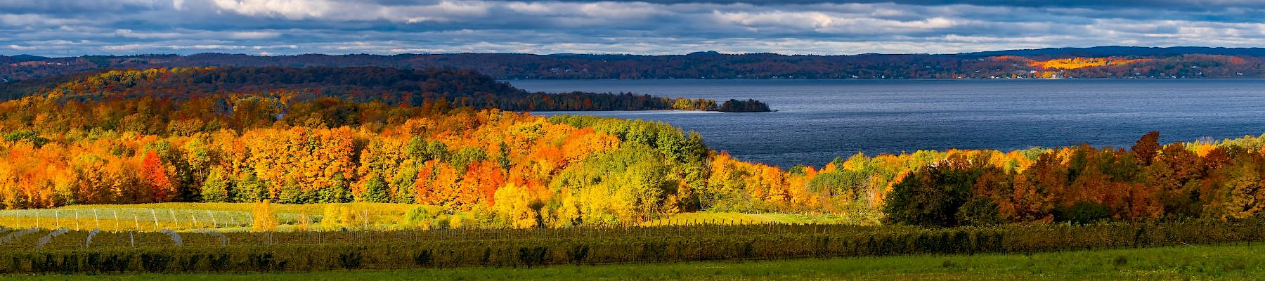 Cherry Tree Inn & Suites