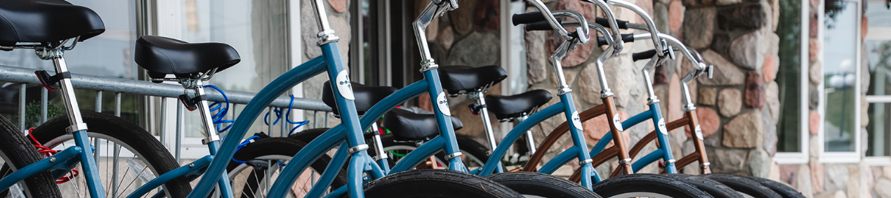 Bikes lined up in a row at a bike rack outside a building, with blue frames and large front wheels.