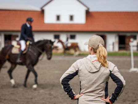 Cherry Tree Inn & Suites