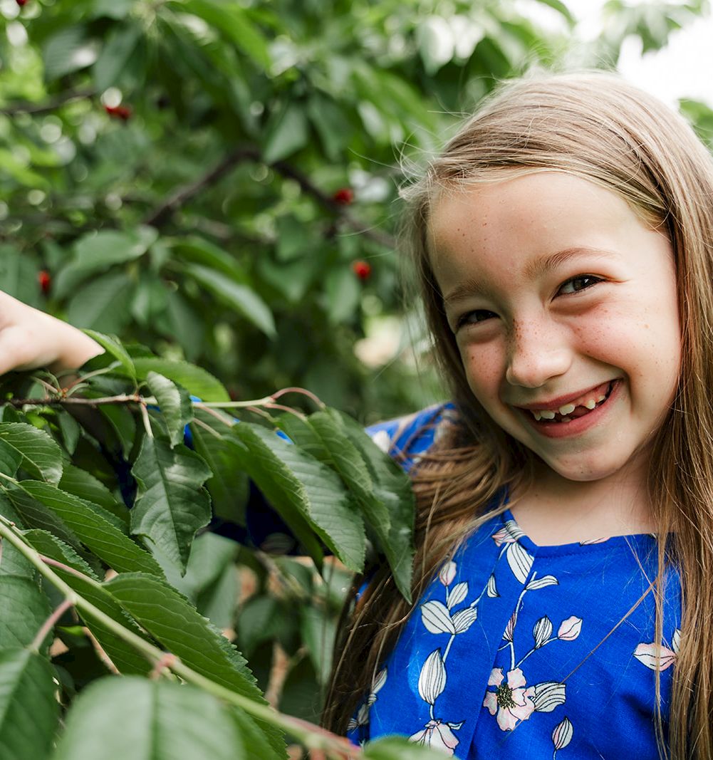 Cherry Tree Inn & Suites
