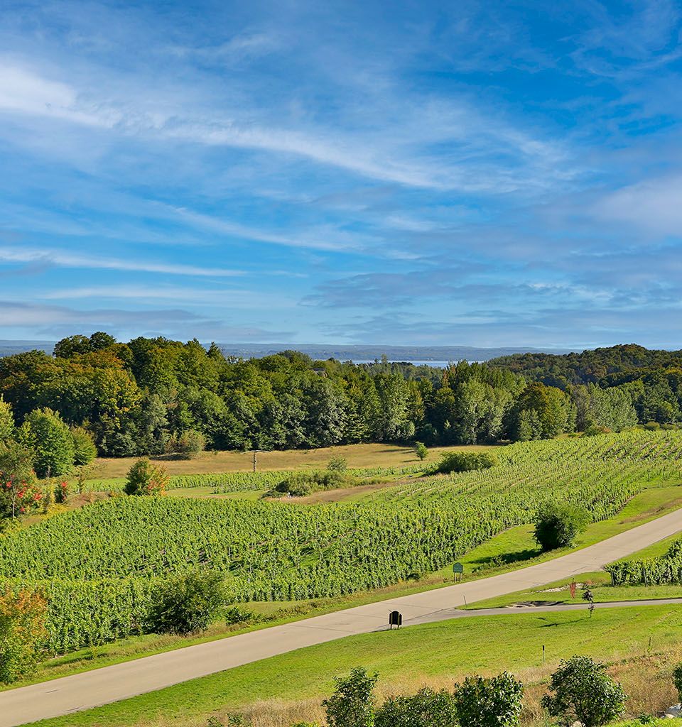 Cherry Tree Inn & Suites