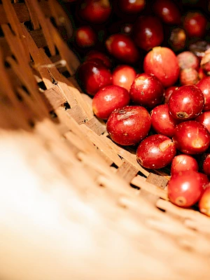 Fresh red berries in a woven basket, close-up detail with soft lighting and warm tones.