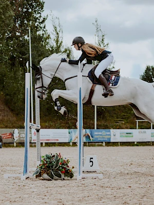 A rider on a white horse clears a jump in a show jumping arena, mid-air over a hurdle with banners and flowers nearby.